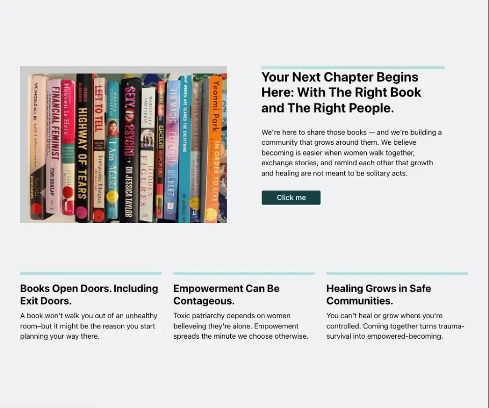 Portfolio Homepage image of My Sisters Bookstore website, which can be seen at mysistersbookstore.com